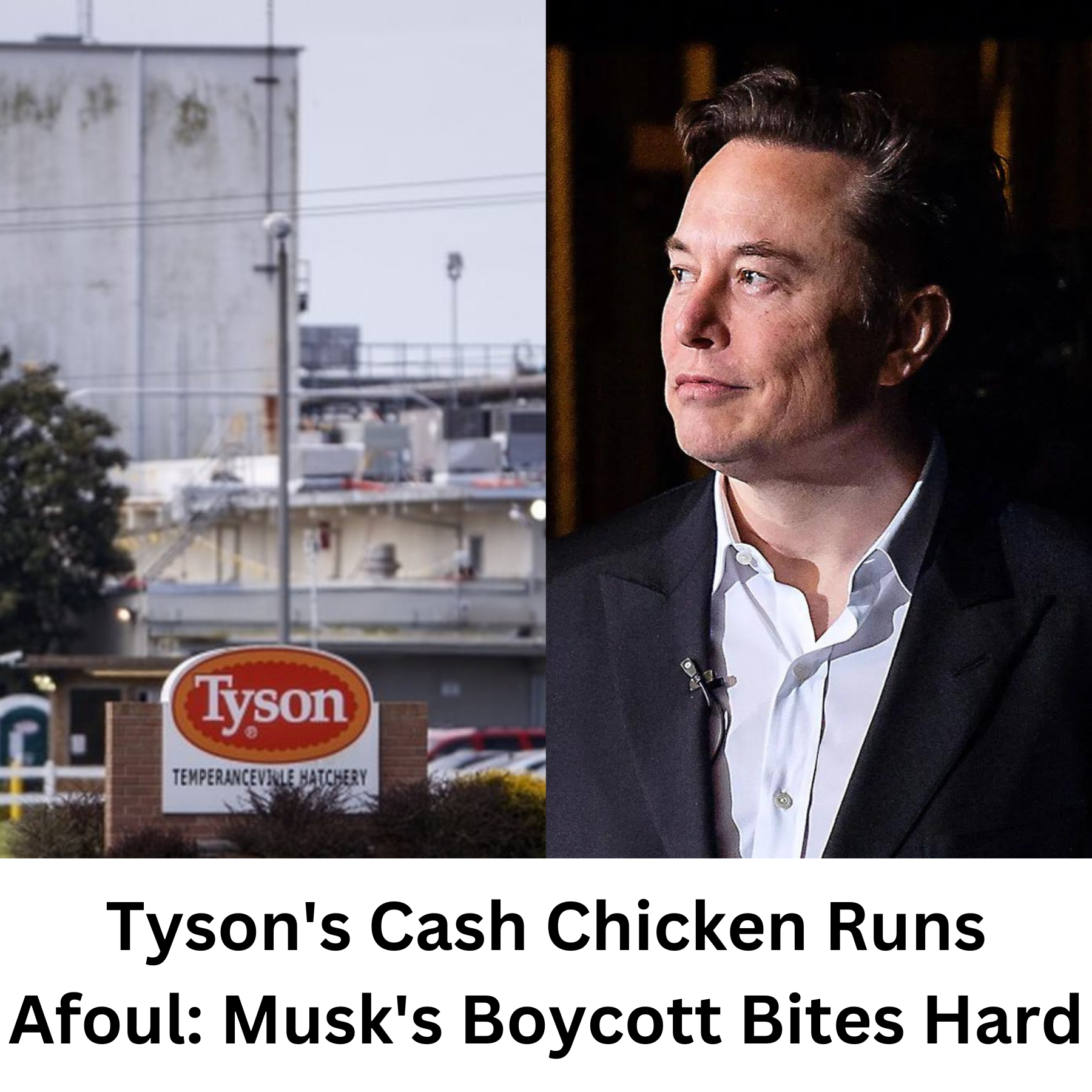 Cluck Up: Tyson Foods Takes $500 Million Hit Following Musk’s Chicken Boycott