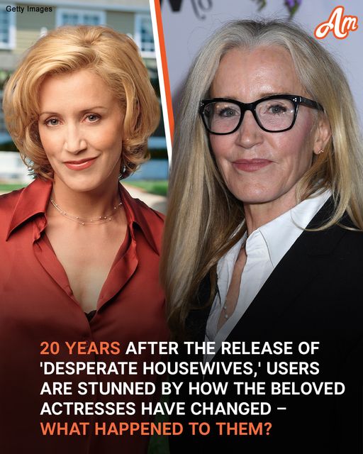 Fans Are Stunned By How The Beloved Actresses From ‘Desperate Housewives’ Have Changed 20 Years After The Show Aired – What Happened To Them?