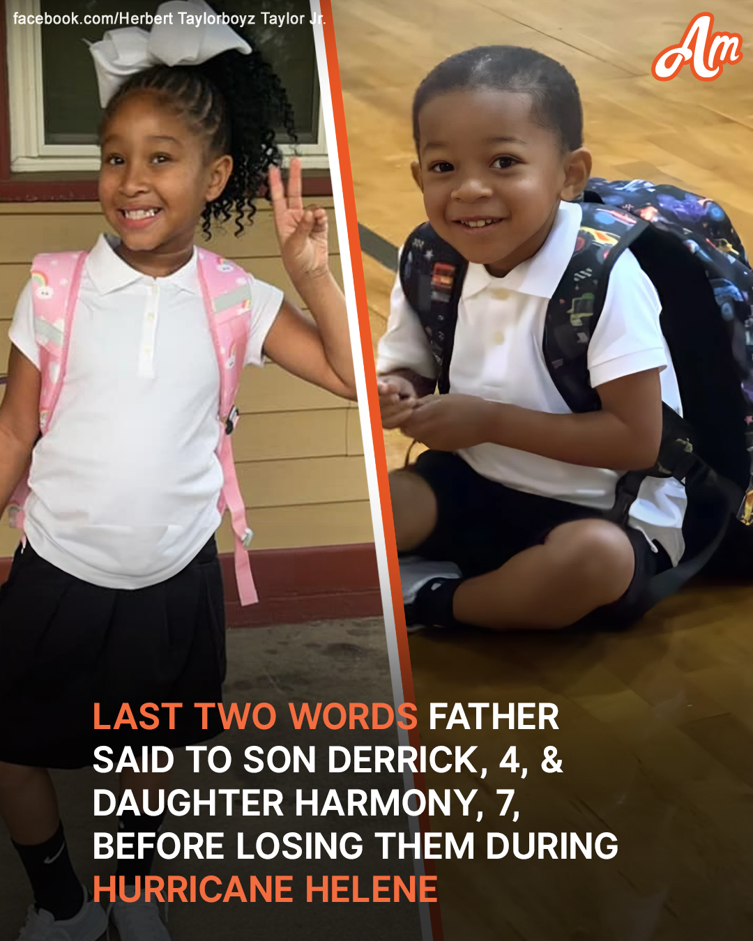 Brother Derrick, 4, and Sister Harmony, 7, Tragically Died During Hurricane Helene: Details