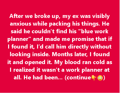 The Chilling Discovery Inside My Ex’s ‘Work Planner